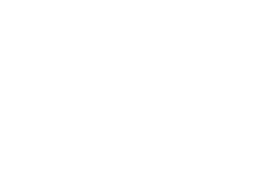 Party Pixel